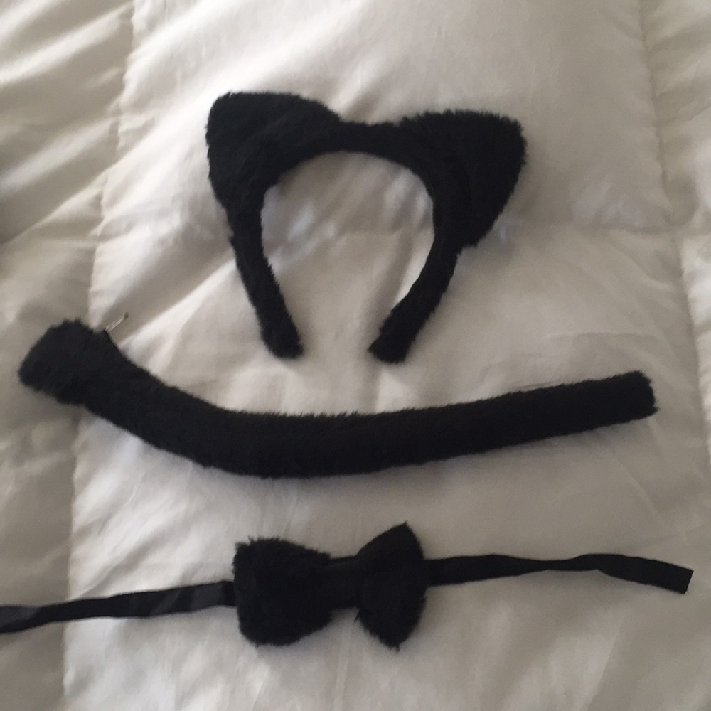 Cat Accessory Kit - Picture 2 of 4